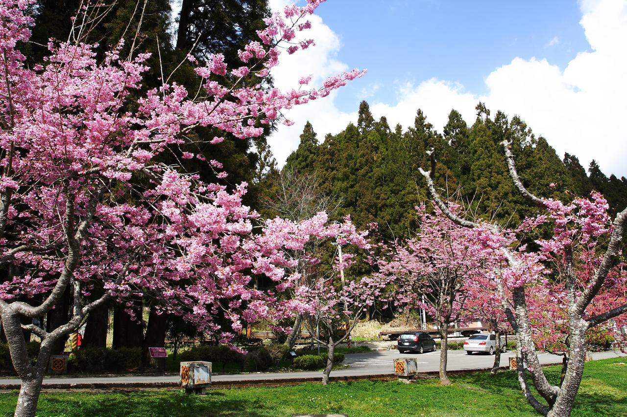 ז'ונגז'נג Alishan Youth Activity Center מראה חיצוני תמונה